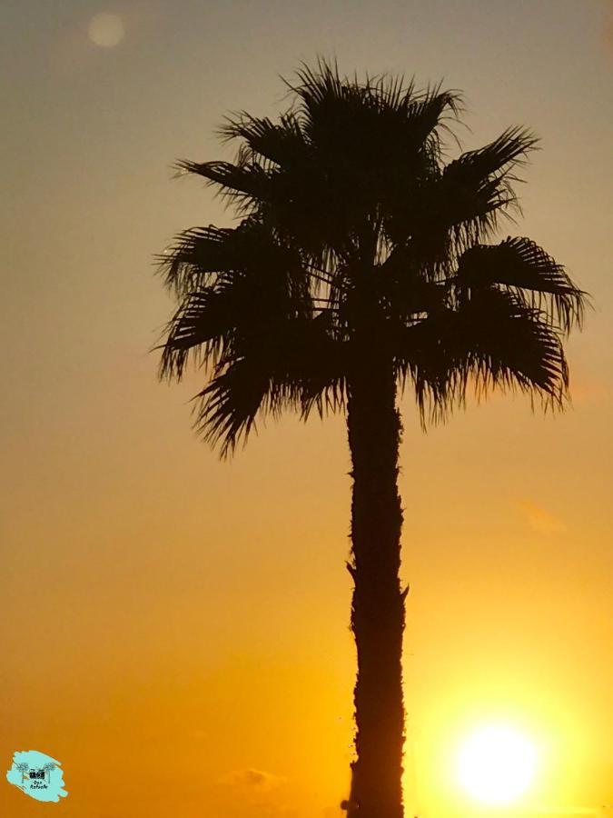 Rafaello Apartment ,,La Zona Cabo Roig, Area Cabo Roig" Orihuela Eksteriør billede